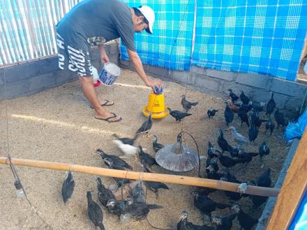 upaya peningkatan gizi guna pencegahan stunting 